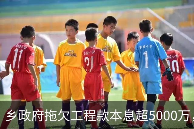乡政府拖欠工程款本息超5000万，企业赢了官司还是要不回钱