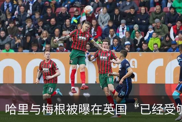 哈里与梅根被曝在英国“已经受够了”，坦言想念美国加州的“家”