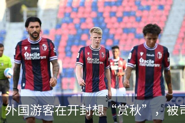 外国游客在开封想“赏秋”，被司机一脚油门拉到商丘