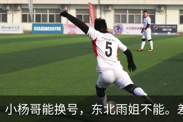 小杨哥能换号，东北雨姐不能。差的不只是罚了多少钱