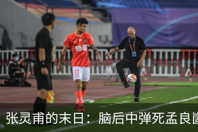 张灵甫的末日：脑后中弹死孟良崮，蒋介石悲伤不已，陈毅下令安葬