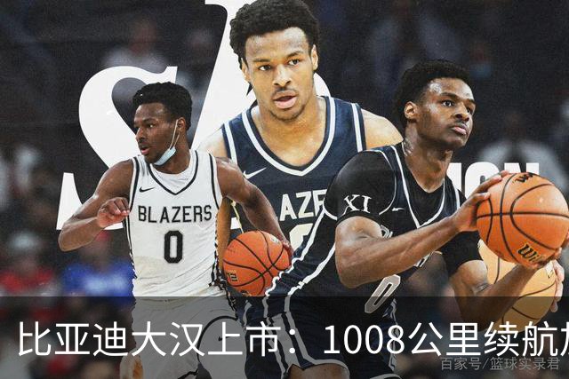 比亚迪大汉上市：1008公里续航加5分钟闪充，23.59万起