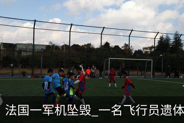 法国一军机坠毁 一名飞行员遗体已被找到